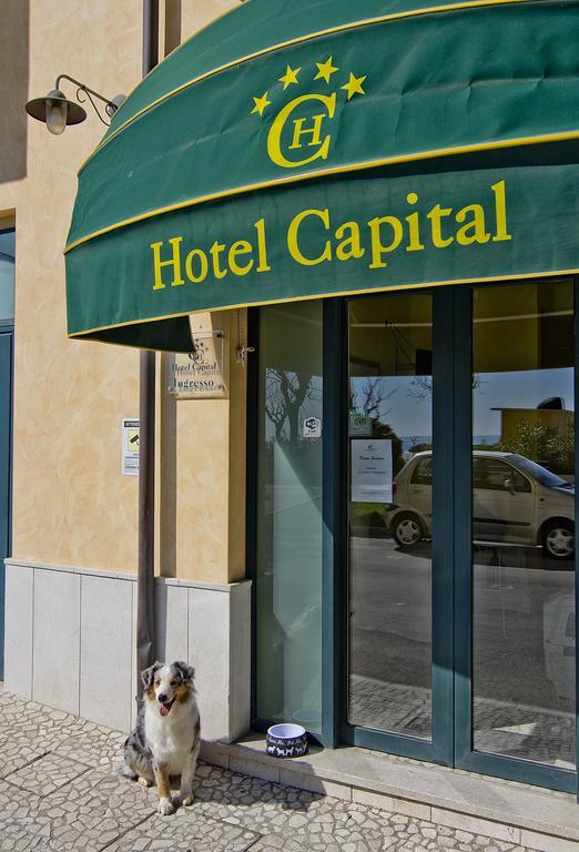 Hotel Capital Cupra Marittima Eksteriør bilde
